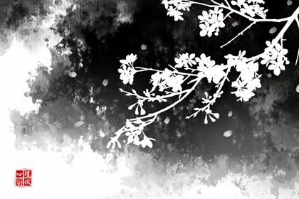 财运测试：你使用啥颜色的钱包进账能翻倍图片1