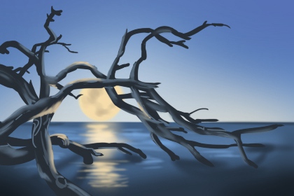 两个人的婚姻测算：婚姻免费测算图片1