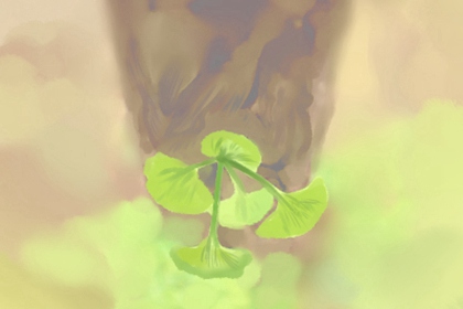 今年运气测试免费：希望大家都有好运气图片1